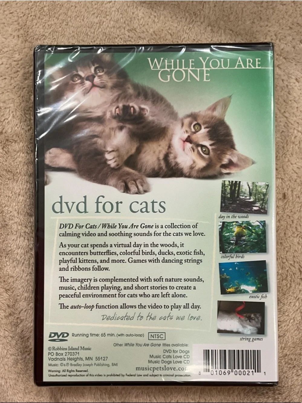 Relaxing DVD for Cats